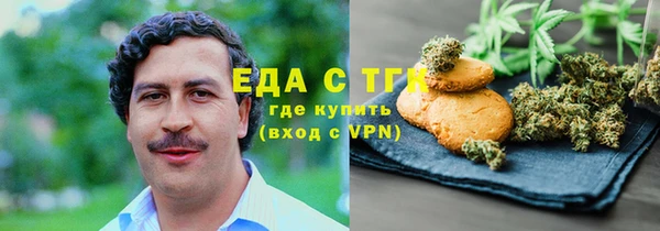 индика Богородицк